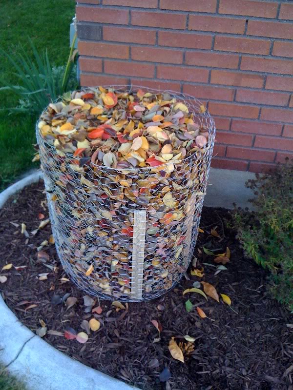 Winter Protection of Roses [fact sheet] Extension